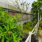 Продажа Объект, Туркян, Хязяр район 13