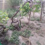 Satılır 4 otaqlı Həyət evi/villa, Əhmədli metrosu, Əhmədli, Xətai rayonu 11
