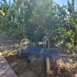 Satılır 4 otaqlı Bağ evi, Goradil, Abşeron rayonu 6