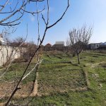Satılır Torpaq, Saray, Abşeron rayonu 4