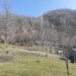 Satılır Torpaq Qəbələ 7