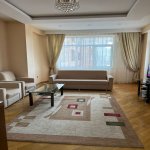 Kirayə (aylıq) 1 otaqlı Yeni Tikili, 28 May metrosu, Nəsimi rayonu 8