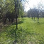 Продажа Участок Гябяля 4