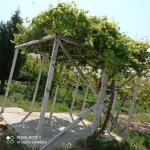 Satılır 3 otaqlı Bağ evi, Binə qəs., Xəzər rayonu 9