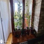 Продажа 3 комнатная Вторичка, м. Нариман Нариманов метро, Наримановский р-н район 4