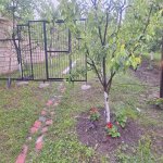 Kirayə (günlük) 5 otaqlı Həyət evi/villa Quba 8