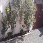 Продажа 4 комнат Дома/Виллы, пос. Биня, Хязяр район 23