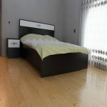 Kirayə (günlük) 5 otaqlı Həyət evi/villa Qəbələ 10