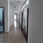 Kirayə (aylıq) 15 otaqlı Ofis, 28 May metrosu, Nəsimi rayonu 4