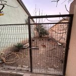 Satılır 3 otaqlı Həyət evi/villa, Saray, Abşeron rayonu 16