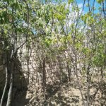 Satılır 3 otaqlı Bağ evi, Buzovna, Xəzər rayonu 18