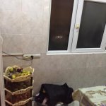 Satılır 3 otaqlı Köhnə Tikili, Memar Əcəmi metrosu, 3-cü mikrorayon, Nəsimi rayonu 10