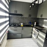 Kirayə (aylıq) 1 otaqlı Köhnə Tikili, Nəriman Nərimanov metrosu, Metropark, Nərimanov rayonu 5