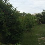 Satılır 7 otaqlı Həyət evi/villa, Həzi Aslanov metrosu, H.Aslanov qəs., Xətai rayonu 12