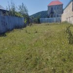 Satılır Torpaq İsmayıllı 6