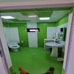 Kirayə (aylıq) 2 otaqlı Bağ evi, Qala, Xəzər rayonu 9