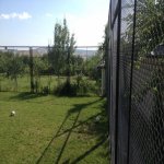 Kirayə (günlük) 6 otaqlı Həyət evi/villa İsmayıllı 9
