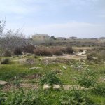 Satılır Torpaq, Goradil, Abşeron rayonu 2