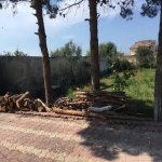 Satılır Torpaq, Novxanı, Abşeron rayonu 8