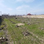 Satılır 1 otaqlı Həyət evi/villa Xaçmaz 9