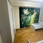 Аренда 2 комнат Новостройка, м. Насими метро, 6-ой микрорайон, Парк им. З.Алиевы, Бинагадинский р-н район 13
