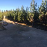 Satılır Torpaq, Mərdəkan, Xəzər rayonu 3