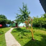 Kirayə (günlük) 2 otaqlı Həyət evi/villa Qəbələ 1