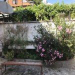 Kirayə (günlük) 2 otaqlı Həyət evi/villa Lənkəran 8