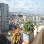 Kirayə (aylıq) 2 otaqlı Yeni Tikili, Azadlıq metrosu, Binəqədi rayonu 12