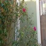 Satılır 5 otaqlı Həyət evi/villa, Masazır, Abşeron rayonu 39