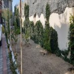 Kirayə (aylıq) 5 otaqlı Həyət evi/villa, Novxanı, Abşeron rayonu 4