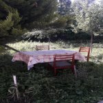 Kirayə (günlük) 3 otaqlı Bağ evi Şəki 8