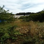 Satılır Torpaq, Mərdəkan, Xəzər rayonu 6
