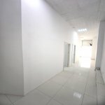 Аренда Объект, м. Насими метро, 6-ой микрорайон, Бинагадинский р-н район 7