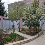Kirayə (aylıq) 5 otaqlı Həyət evi/villa, Avtovağzal metrosu, Sulutəpə qəs., Binəqədi rayonu 3