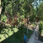 Kirayə (aylıq) 8 otaqlı Həyət evi/villa, Novxanı, Abşeron rayonu 19