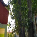 Kirayə (günlük) 4 otaqlı Həyət evi/villa Lənkəran 5