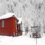 Kirayə (günlük) 3 otaqlı Həyət evi/villa Qəbələ 2