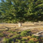 Satılır Torpaq, Abşeron rayonu 9