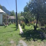 Kirayə (günlük) 2 otaqlı Həyət evi/villa Qax 3