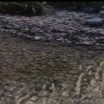 Kirayə (aylıq) 2 otaqlı Yeni Tikili, Sahil metrosu, Səbail rayonu 24