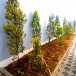 Satılır 4 otaqlı Həyət evi/villa, Mərdəkan, Xəzər rayonu 7