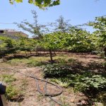 Satılır 5 otaqlı Həyət evi/villa Sumqayıt 12