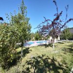 Kirayə (günlük) 12 otaqlı Həyət evi/villa Qəbələ 16