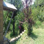 Kirayə (günlük) 5 otaqlı Həyət evi/villa Lerik 4