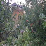 Satılır 3 otaqlı Həyət evi/villa, Koroğlu metrosu, Zabrat qəs., Sabunçu rayonu 20