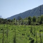 Satılır Torpaq Qusar 8