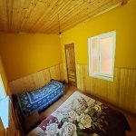 Kirayə (günlük) 3 otaqlı Bağ evi Qəbələ 21