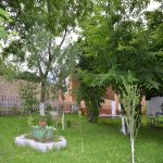 Kirayə (günlük) 3 otaqlı Həyət evi/villa Qəbələ 18