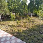 Kirayə (günlük) 2 otaqlı Bağ evi Qusar 13